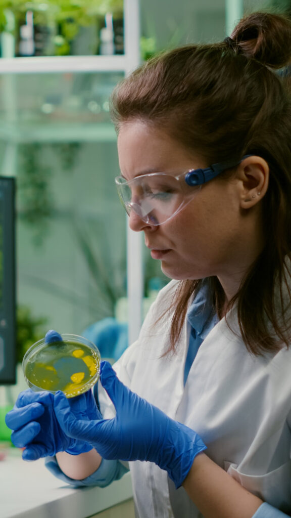 Pracownica laboratorium w okularach ochronnych i rękawiczkach ogląda szalkę Petriego podczas analizy składników detergentów.